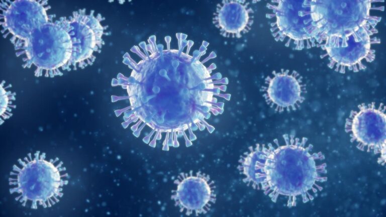 Virus