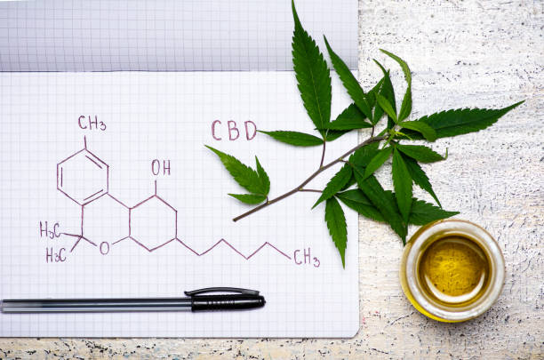 Common Questions About the Activity of CBD oil