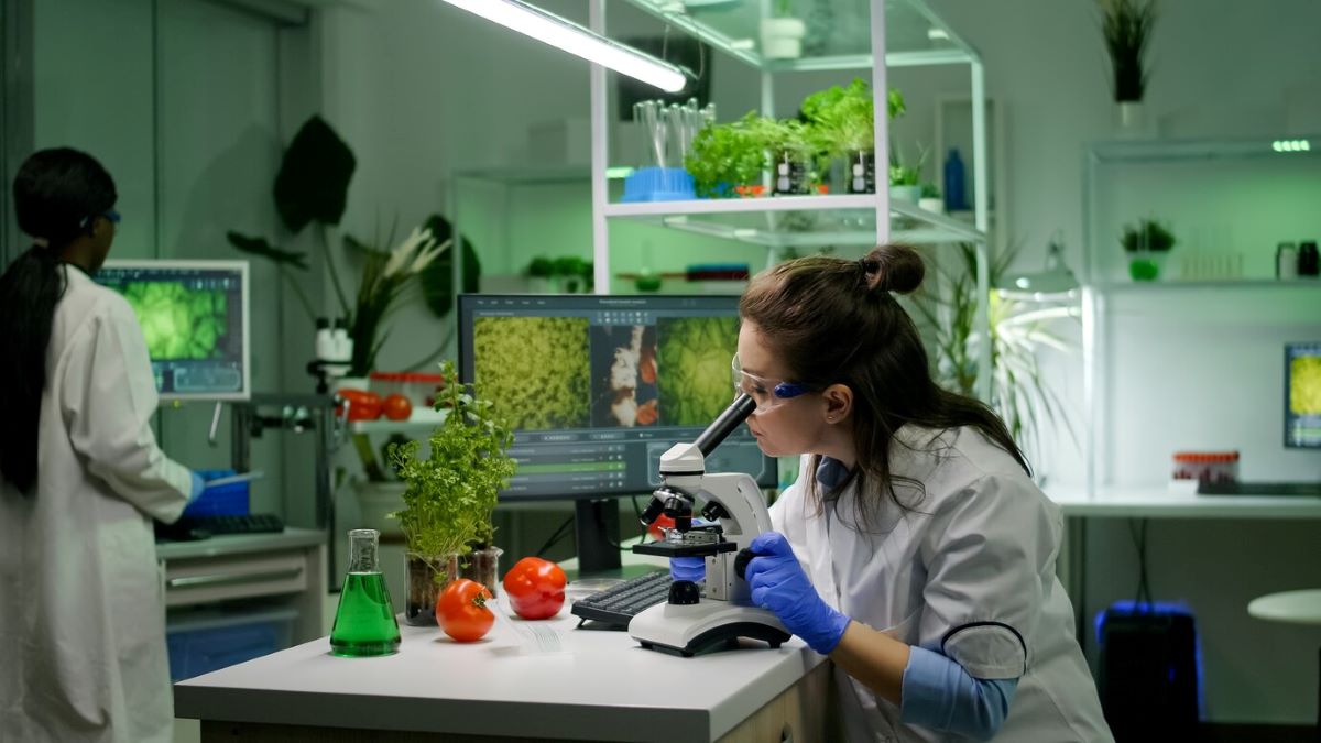 haccp software