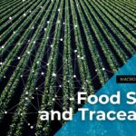 Online HACCP Plan Tools: Are They Audit-Ready?